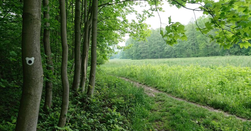 Černá čapí stezka Černá čapí stezka