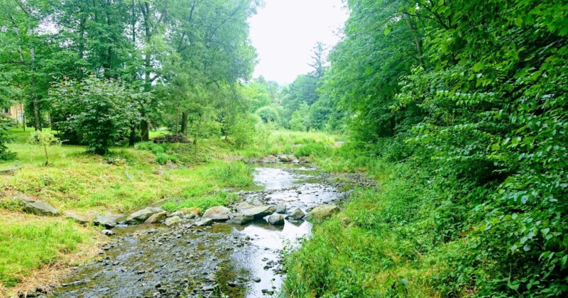 Černá čapí stezka Černá čapí stezka