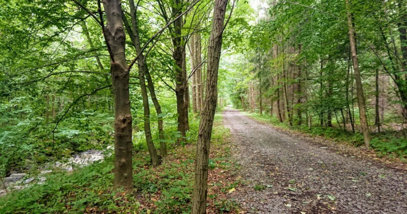 Černá čapí stezka Černá čapí stezka