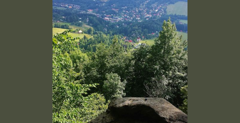 medvedi-skala