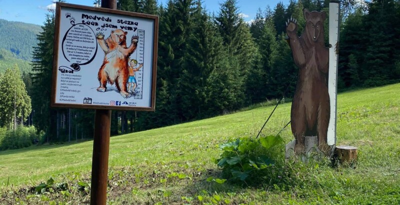 Žlutá medvědí stezka Žlutá medvědí stezka
