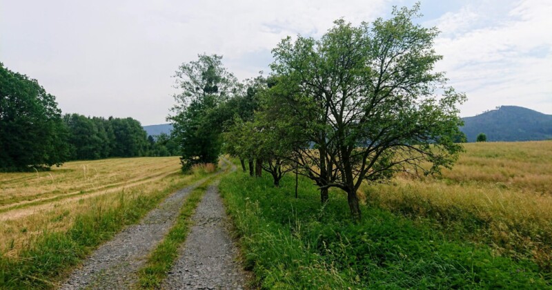 Černá čapí stezka Černá čapí stezka