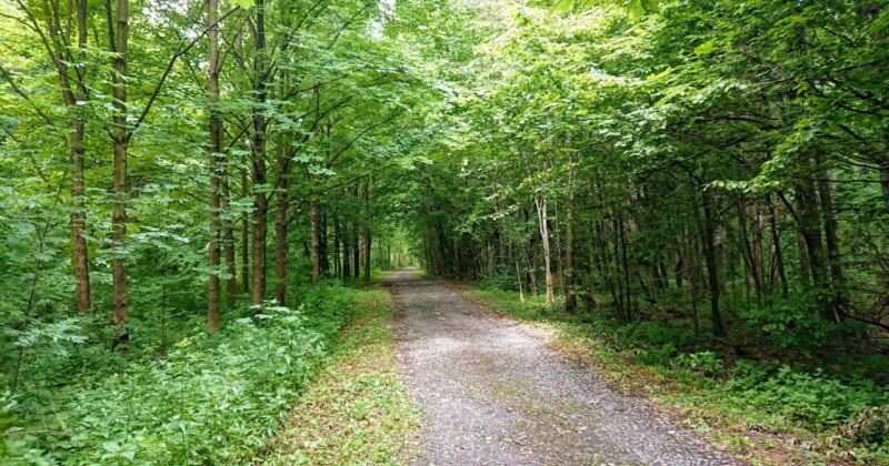 Černá čapí stezka Černá čapí stezka