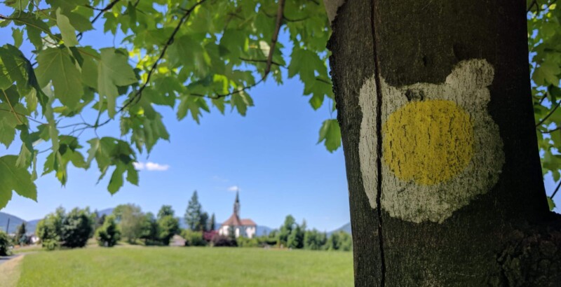 Žlutá medvědí stezka Žlutá medvědí stezka