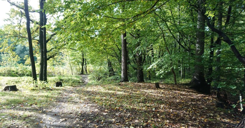 Černá čapí stezka Černá čapí stezka