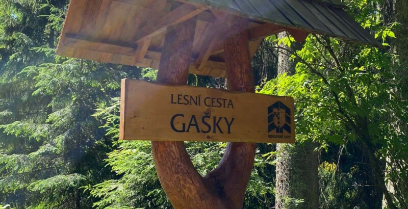 Cesní cesta Gašky Cesní cesta Gašky