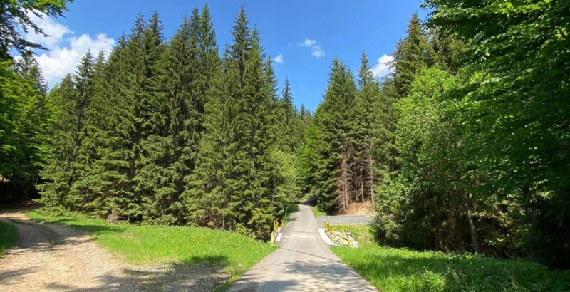 Zpáteční cesta směr Podolánky Zpáteční cesta směr Podolánky