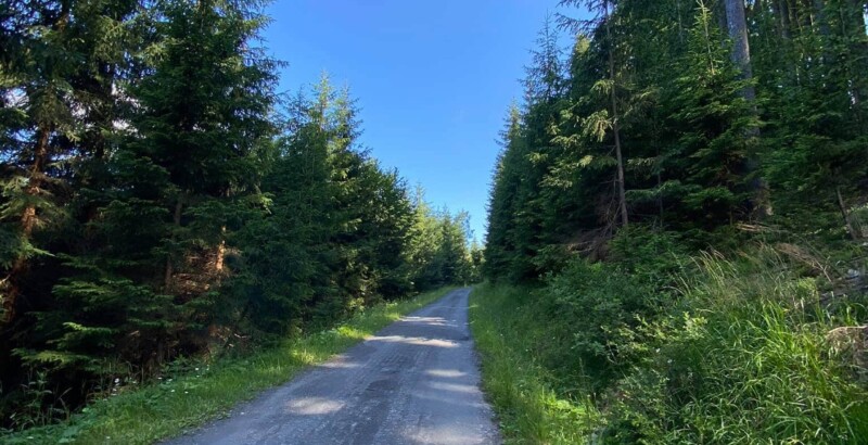 Asfaltová cesta k vrcholu Asfaltová cesta k vrcholu