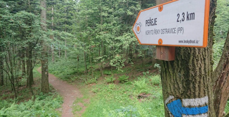 Oranžová liščí stezka Oranžová liščí stezka