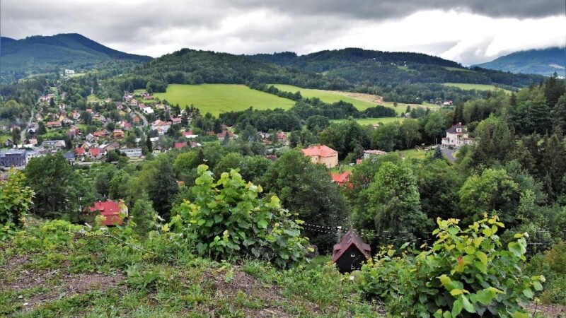 Žlutá medvědí stezka Žlutá medvědí stezka