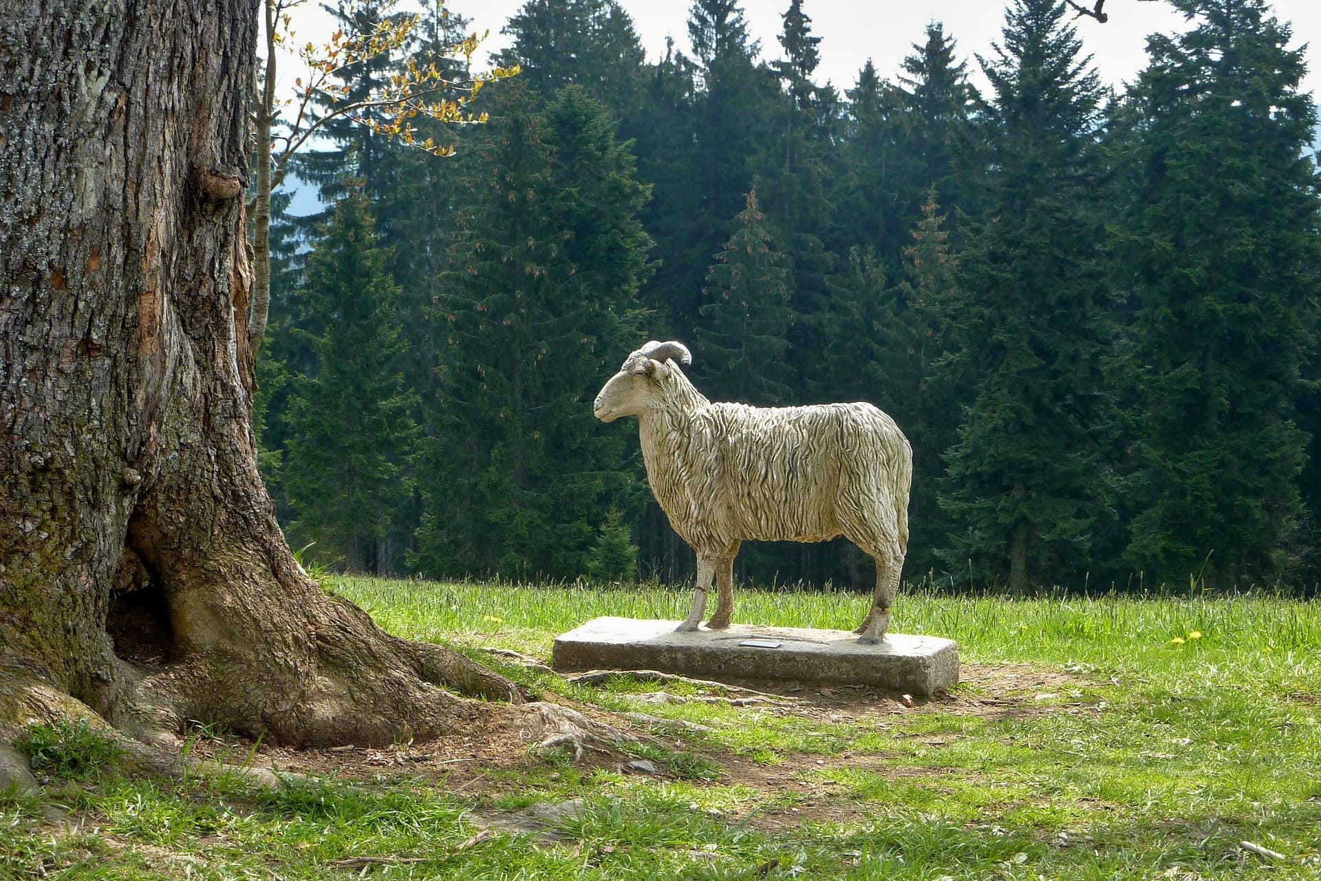 Pomník ovce Valašky