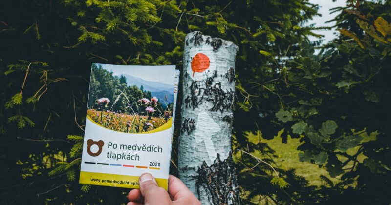 Soutěž Po medvědích tlapkách Soutěž Po medvědích tlapkách