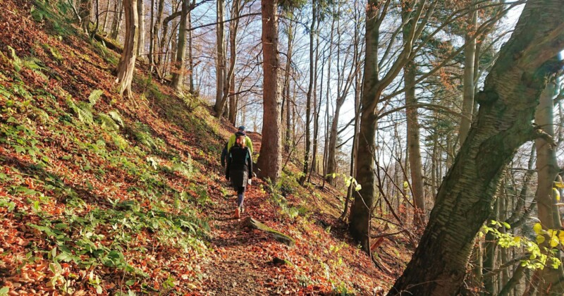 Soutěž Po medvědích tlapkách Soutěž Po medvědích tlapkách