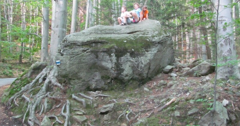 Soutěž Po medvědích tlapkách Soutěž Po medvědích tlapkách