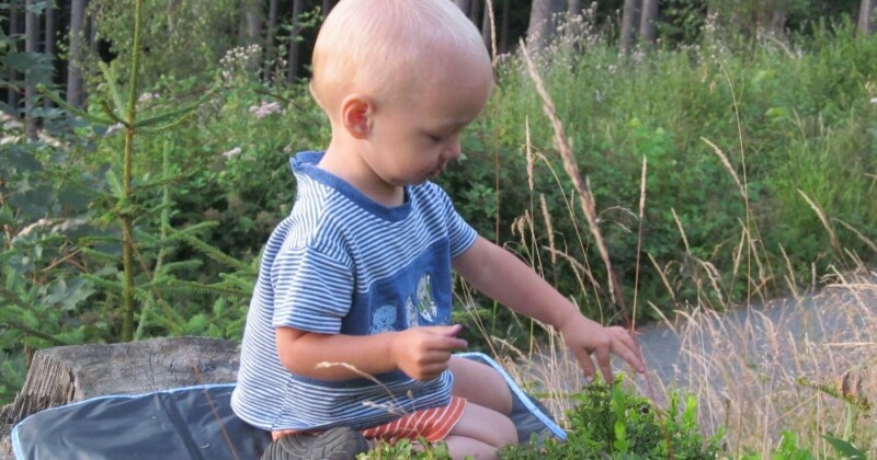 Soutěž Po medvědích tlapkách Soutěž Po medvědích tlapkách