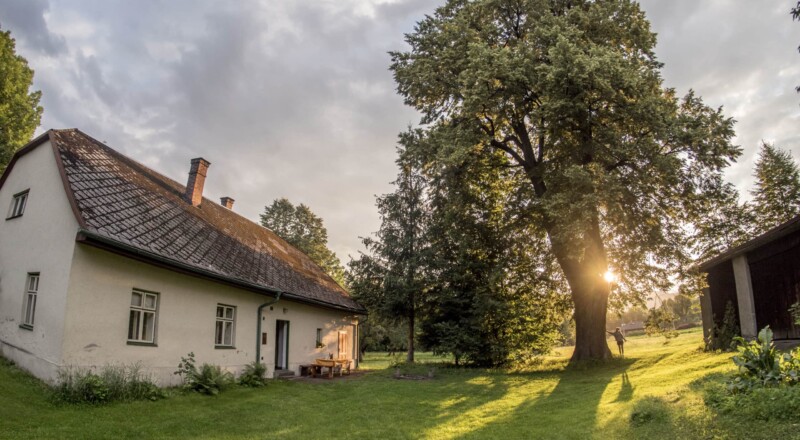 Lípa, kterou někdo jen tak nepřehlédne