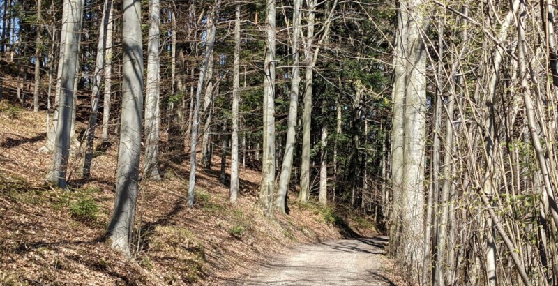 Trasy v Kunčicích pod Ondřejníkem