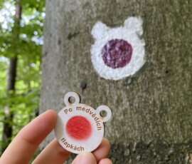 Po medvědích tlapkách - odměna za razítka Po medvědích tlapkách - odměna za razítka