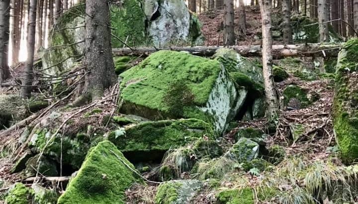 Kameny v lese cestou k rozcestníku Malá Stolová