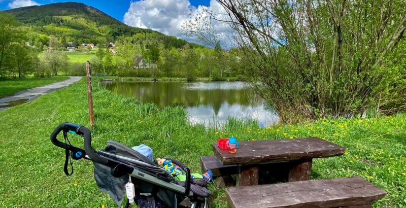 Rybník na naučné stezce