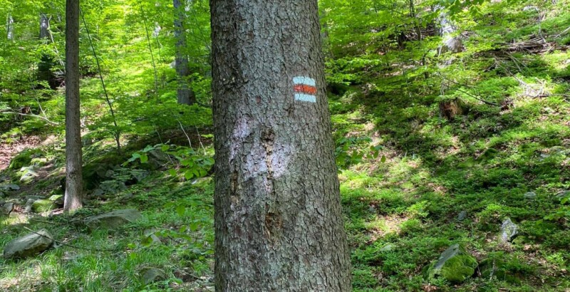 Červená turistická značka vedoucí k rozcestníku Malá Stolová