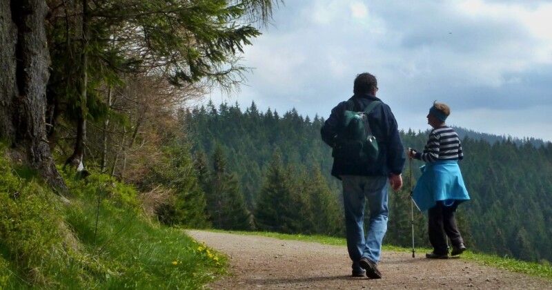 Malebná cesta krajem lesa s výhledem na hory