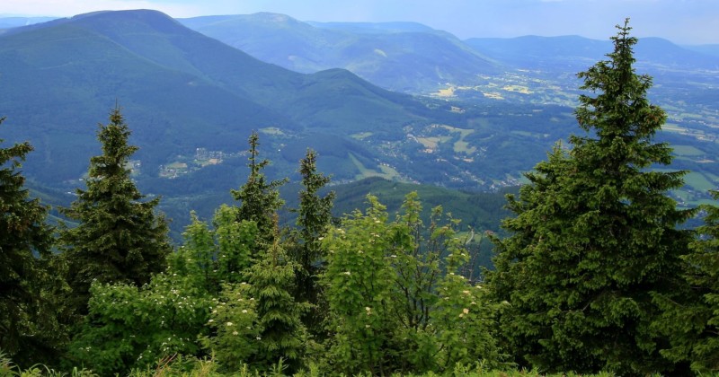 Výhled z Lysé hory