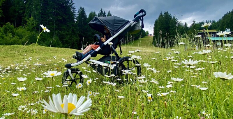 Louka pod sjezdovkou Ski Park Gruň