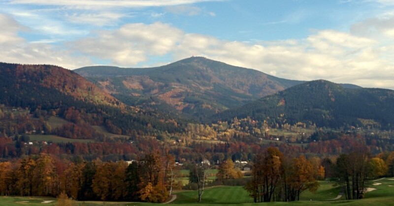 Oranžová liščí stezka