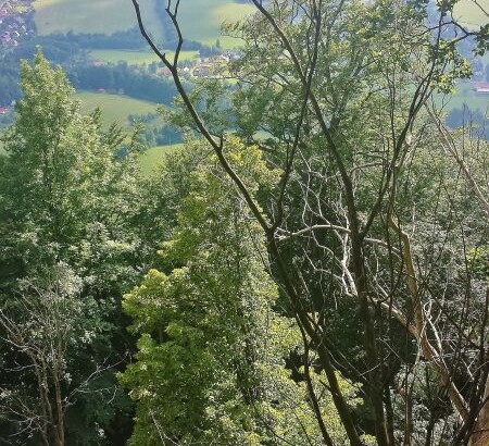 vyhled-z-medvedi-skaly