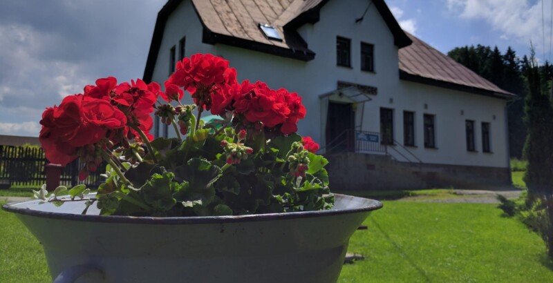 Oranžová liščí stezka