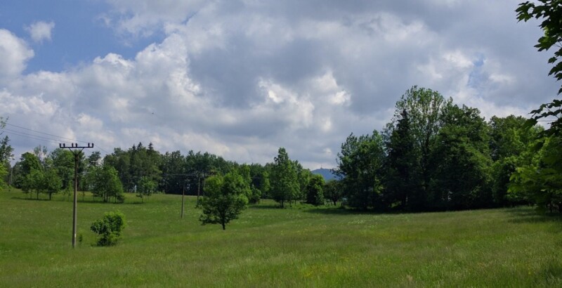 Oranžová liščí stezka