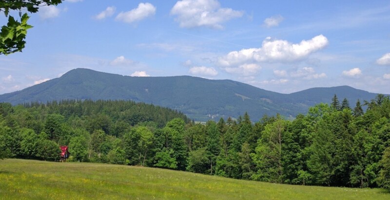 Oranžová liščí stezka