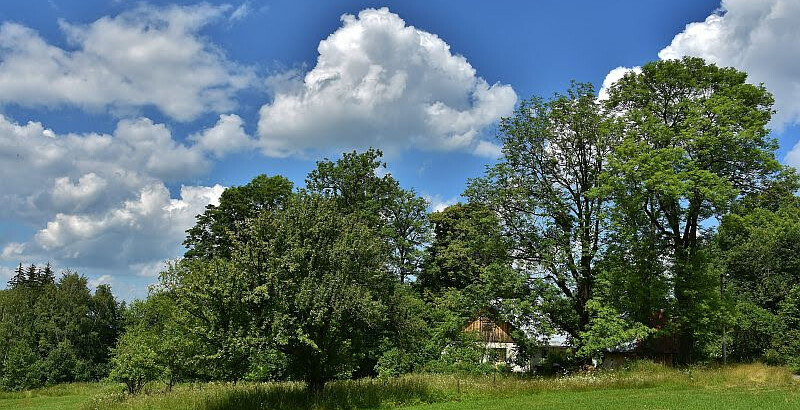 Oranžová liščí stezka